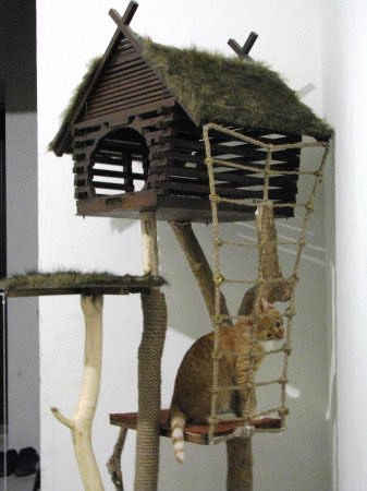 Дом для кота
